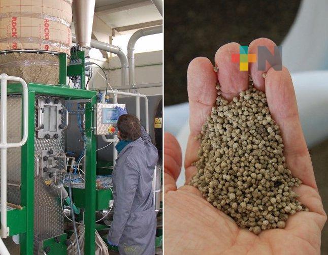 Supervisará AMLO, producción de fertilizantes gratuitos en Cosoleacaque, Lázaro Cárdenas y Coatzacoalcos