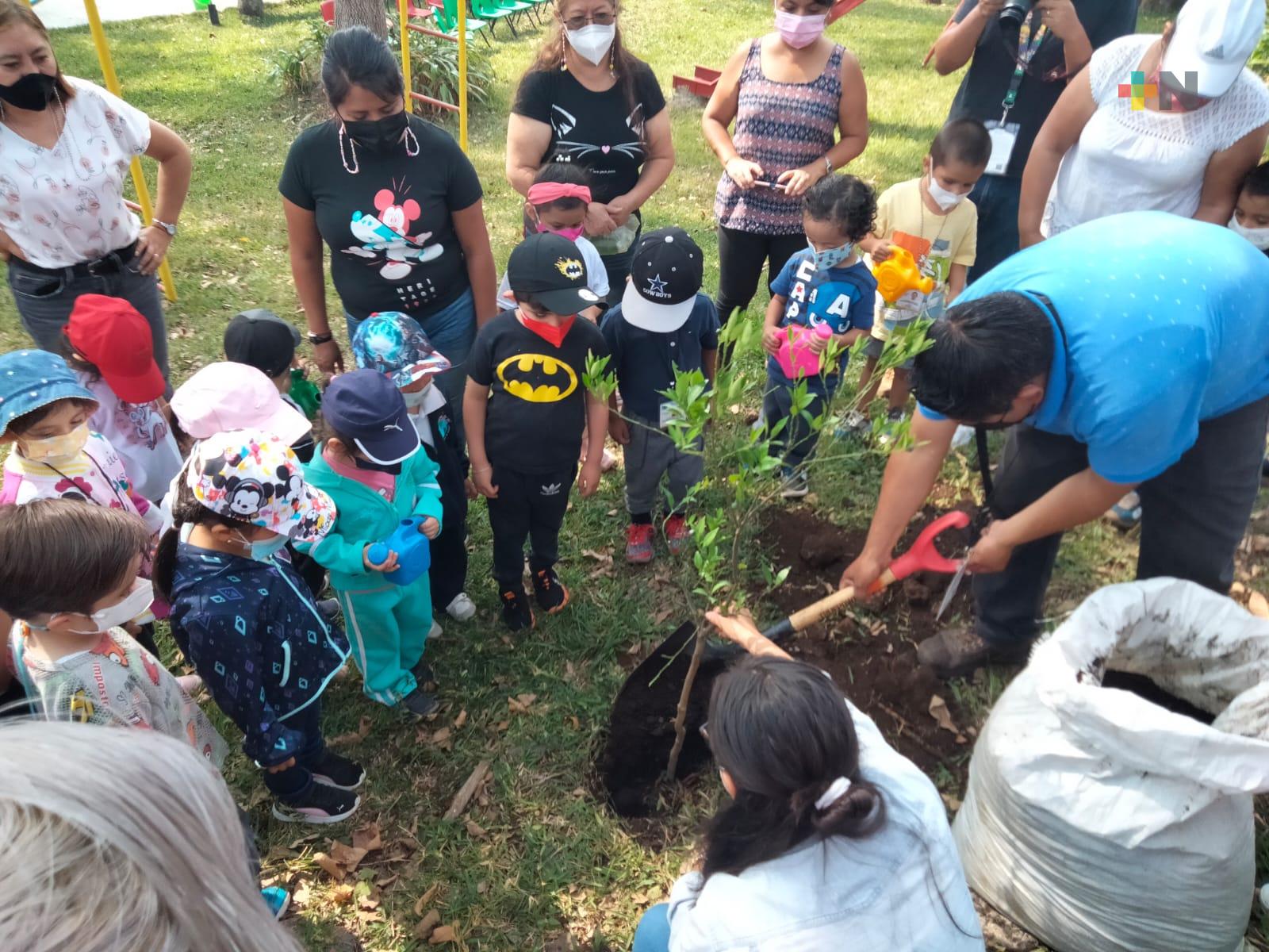Plantan árboles frutales en jardín de niños por Día del Medio Ambiente