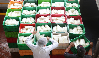 Convoca Agricultura a impulsar el consumo de leche en México