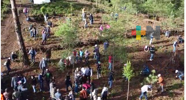 Se unen alcaldes de la huasteca baja para reforestar y fabricar agua