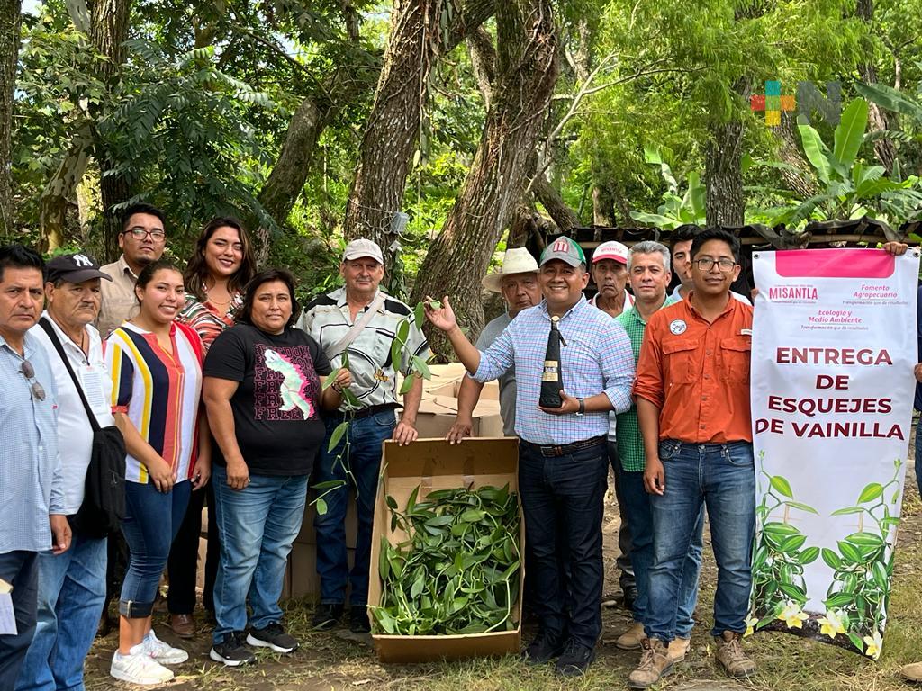 Ayuntamiento de Misantla impulsa cultivo y producción de vainilla en el municipio
