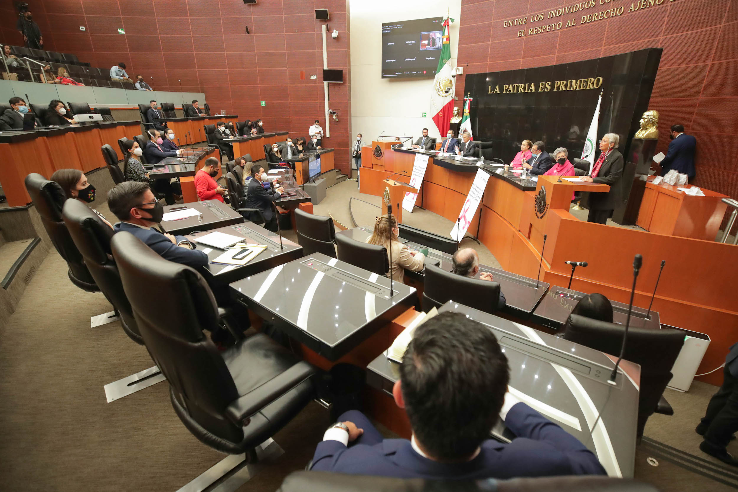 Impulsan en el Senado Plan Nacional de Prevención y Control Integral de Cáncer