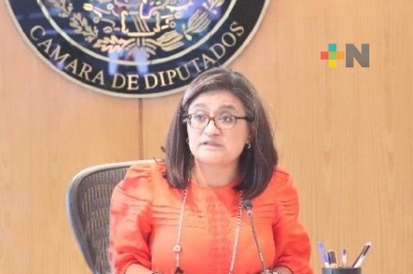 Instalarán grupo redactor rumbo a  dictaminación del Código Nacional de Procedimientos Civiles: Aleida Alavez
