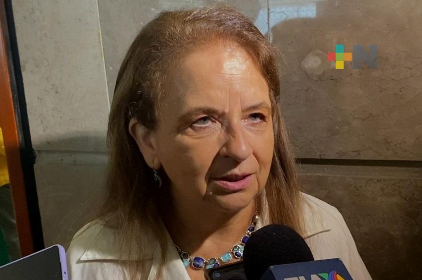 Eventual incorporación de personas trabajadoras del hogar a la seguridad social: Angélica Cisneros
