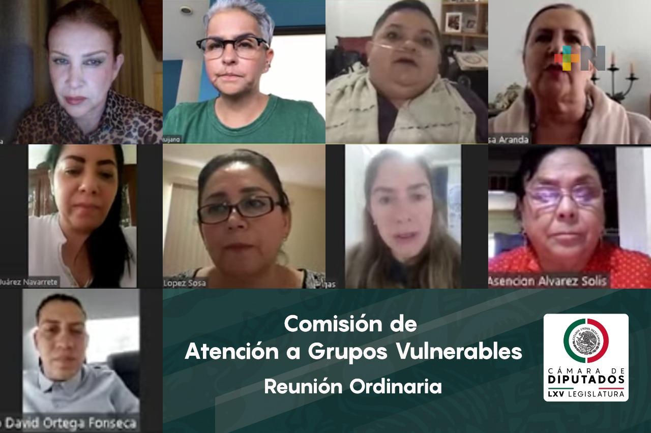 Comisión de Atención a grupos vulnerables elaborará declaratoria por muerte de Luz Raquel Padilla