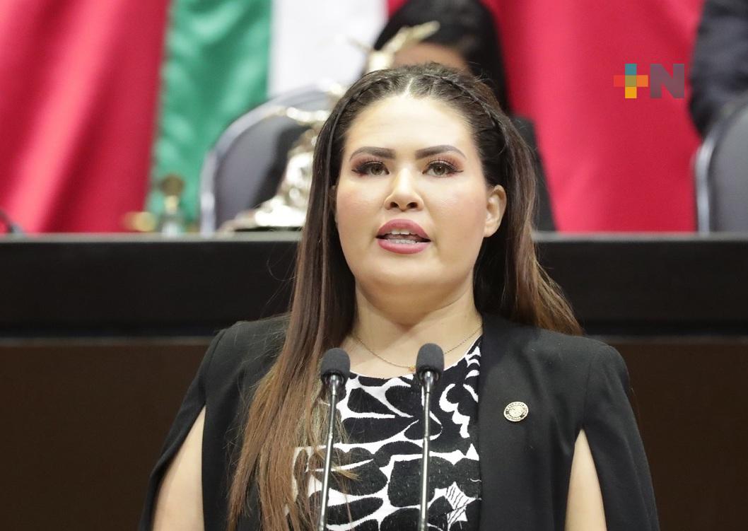 Exhorta diputada a terminar con fraudes en portales electrónicos que ofertan paquetes turísticos falsos