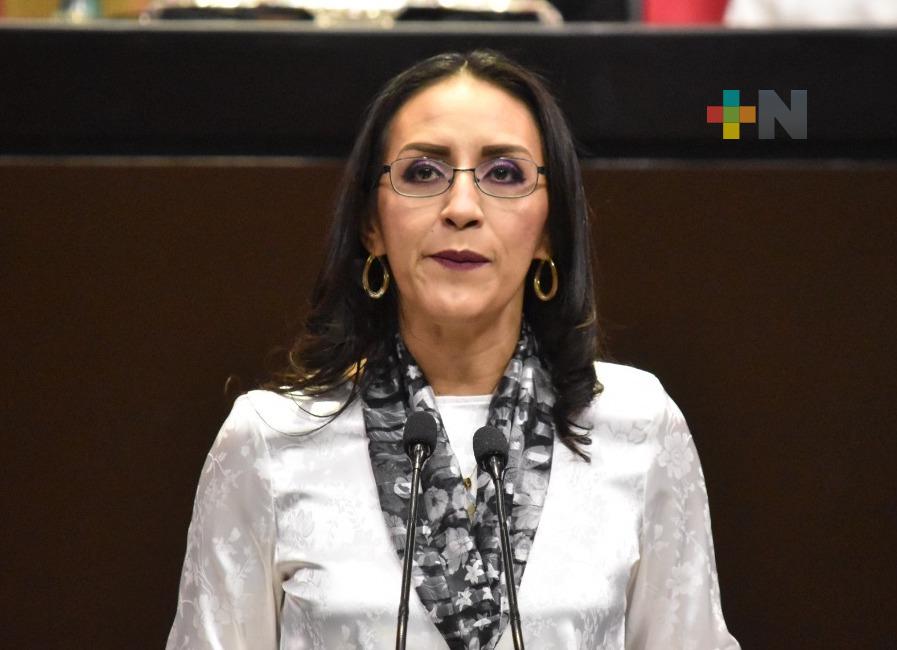 Impulsa diputada incentivar libre tránsito y competencia entre prestadores de servicio en aeropuertos del país