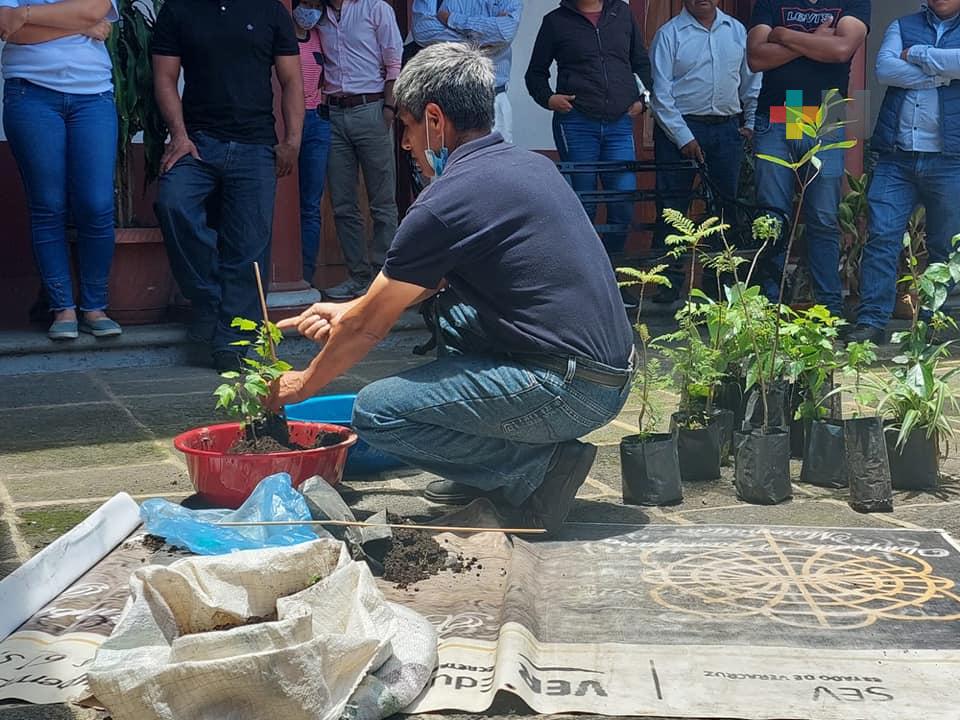 Organizan Gisela López y «Reforestando Cuencas» sembrar 26 mil árboles