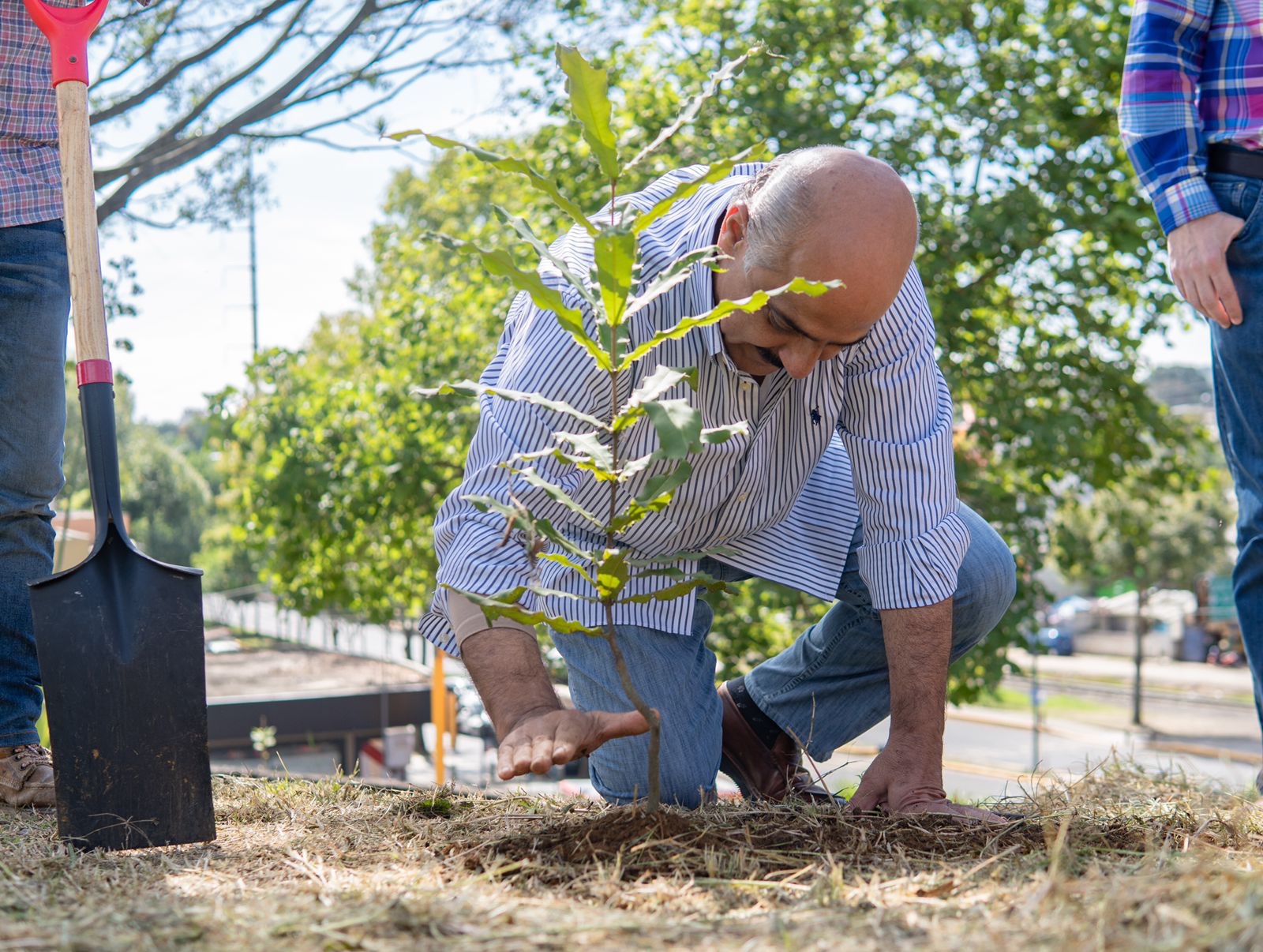 Realiza Ayuntamiento jornada de reforestación en el Parque La Loma