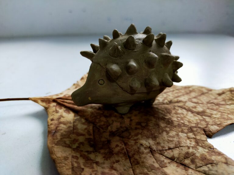 Invita IVEC a los talleres de verano de la Casa de Cultura de Coatepec