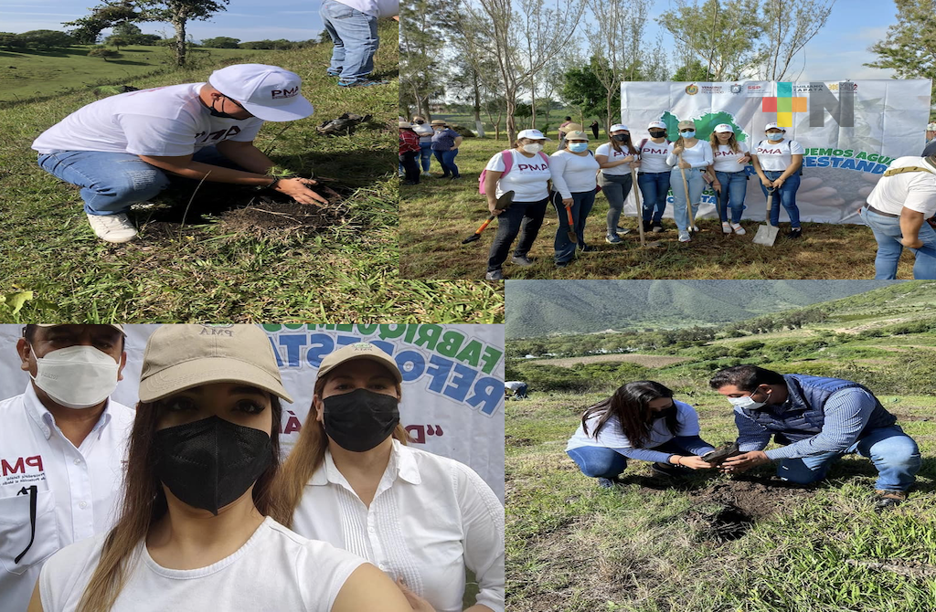 PMA se suma a «Fabriquemos Agua Reforestando», en Maltrata