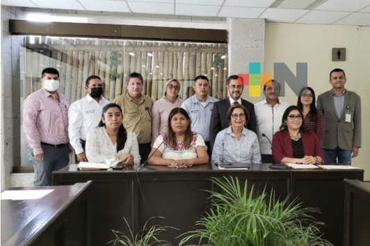 CFE impulsará programas municipales para energías renovables: Antonio Luna