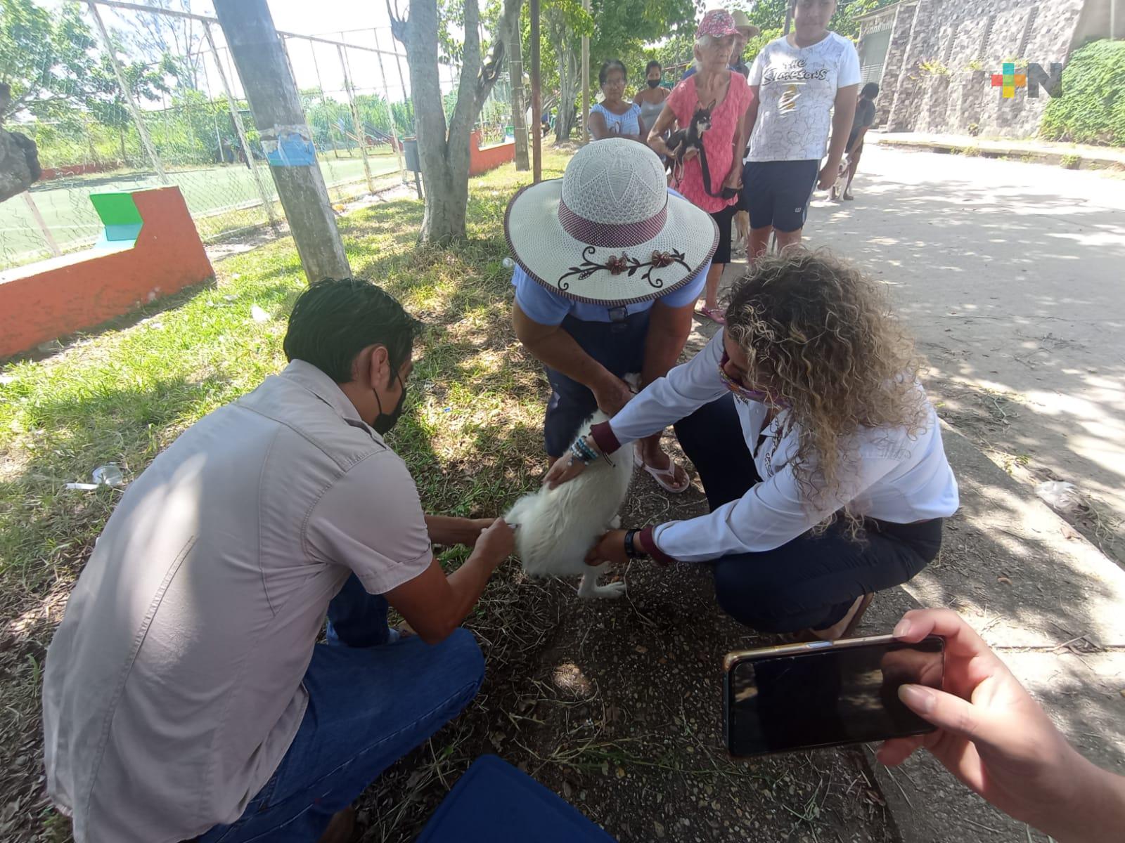 Tantoyuca tendrá un centro de salud animal administrado por ciudadanos