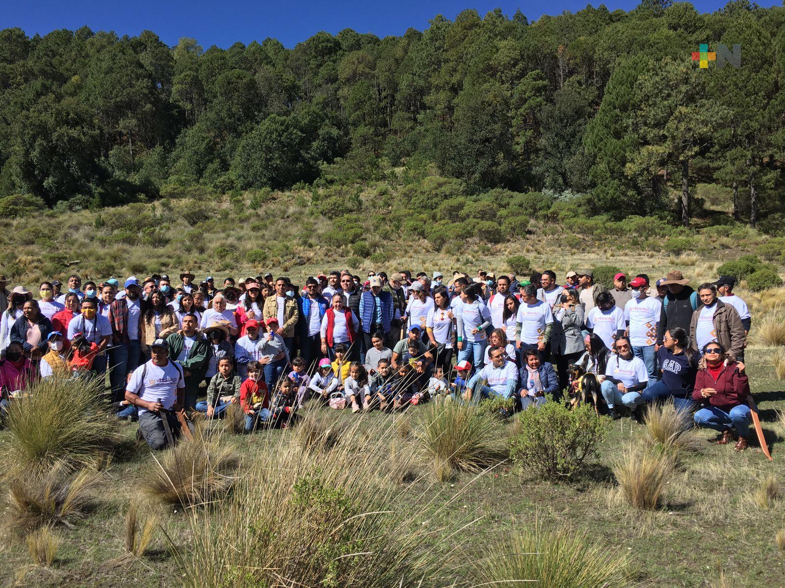 RTV se une a la campaña “Fabriquemos agua reforestando”