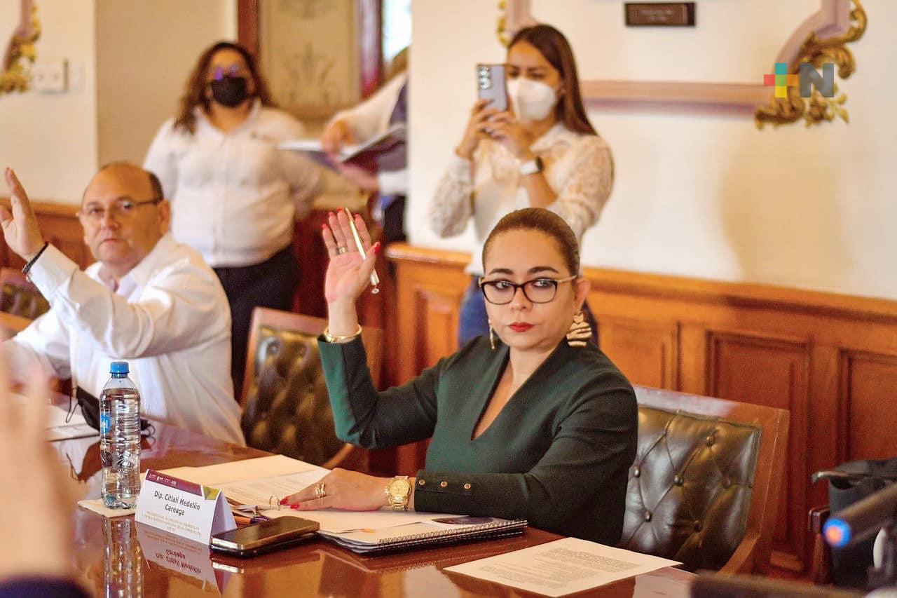 Participa diputada Medellín Careaga en Junta de Gobierno del Invedem