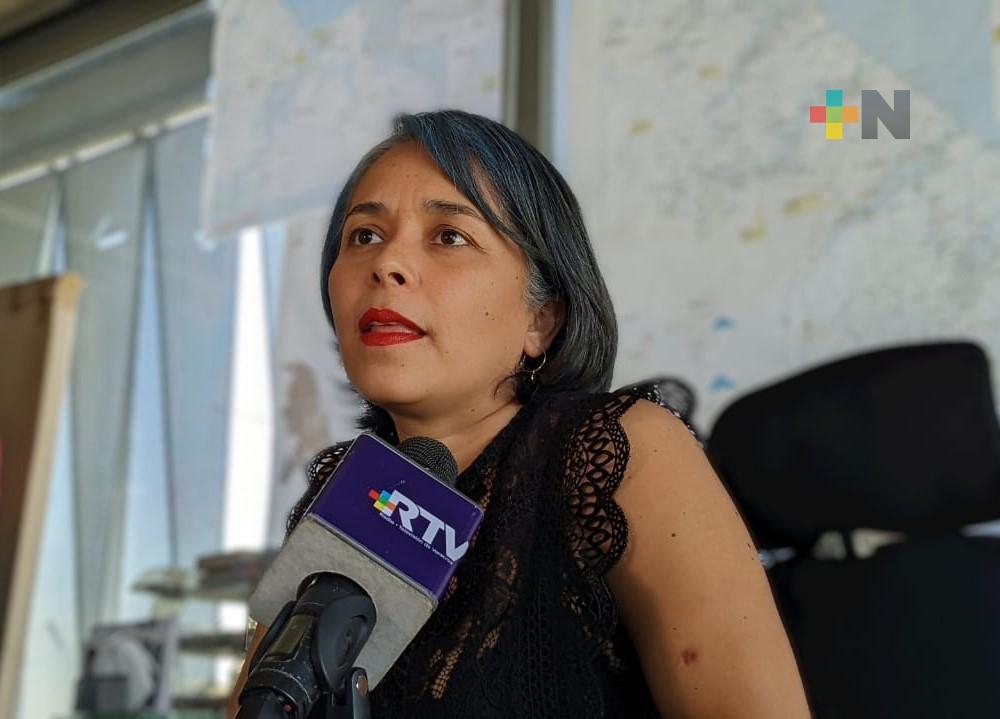 Supervisa SPC integridad estructural de gradas y escenarios del Carnaval