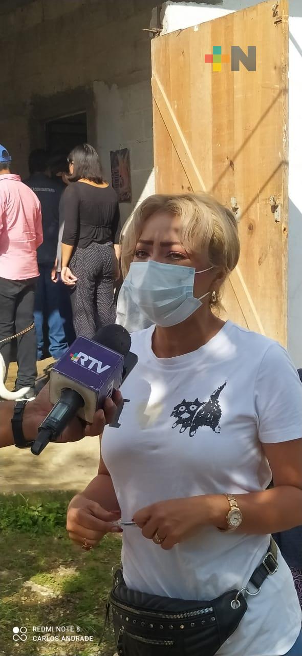 Esterilización canina y felina permanente en Xalapa; permite prevenir patologías