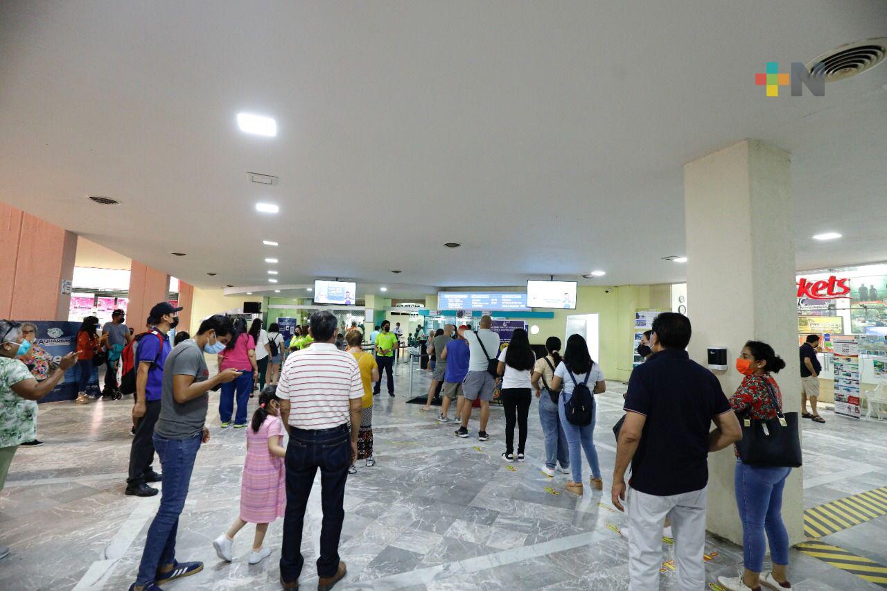 Registra Aquarium de Veracruz gran afluencia de turistas, en vacaciones de verano