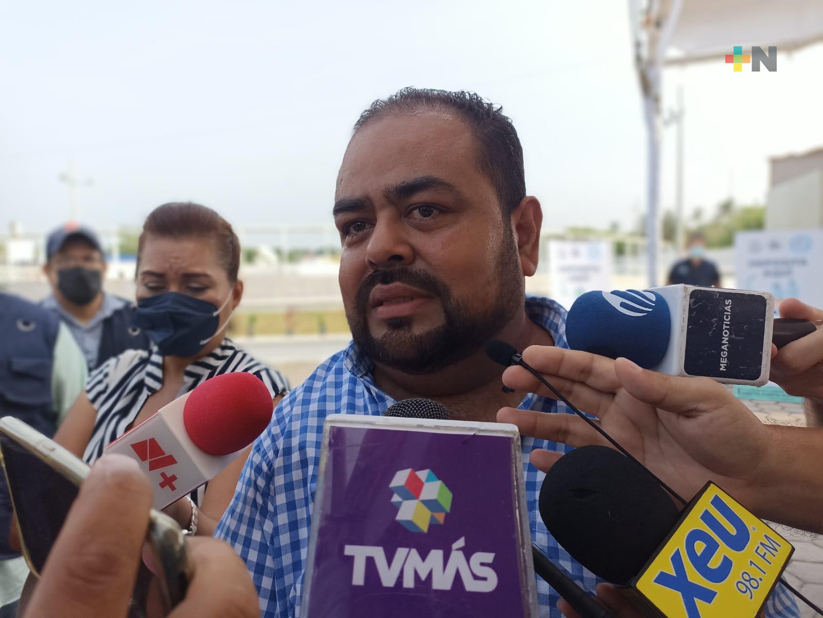 Persiste el maltrato animal en el municipio de Veracruz