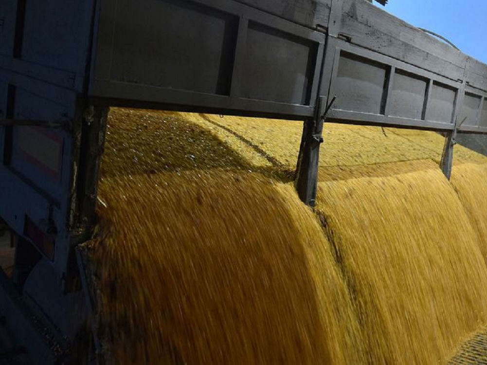 Ucrania y Rusia firman acuerdo para exportar cereales ucranianos