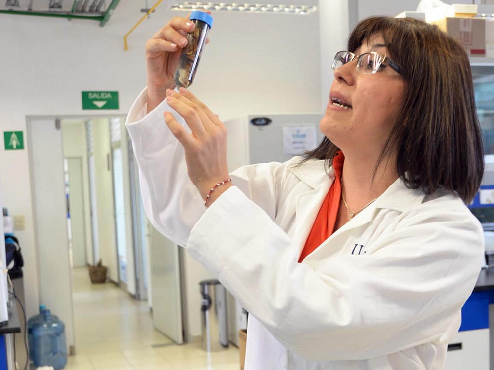 Usan bacterias para descontaminar medio ambiente