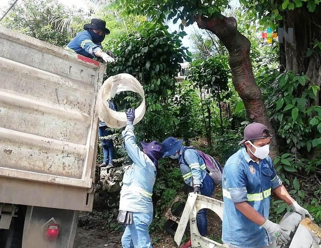 Eliminarán criaderos de moscos en ocho colonias de Córdoba para prevenir dengue