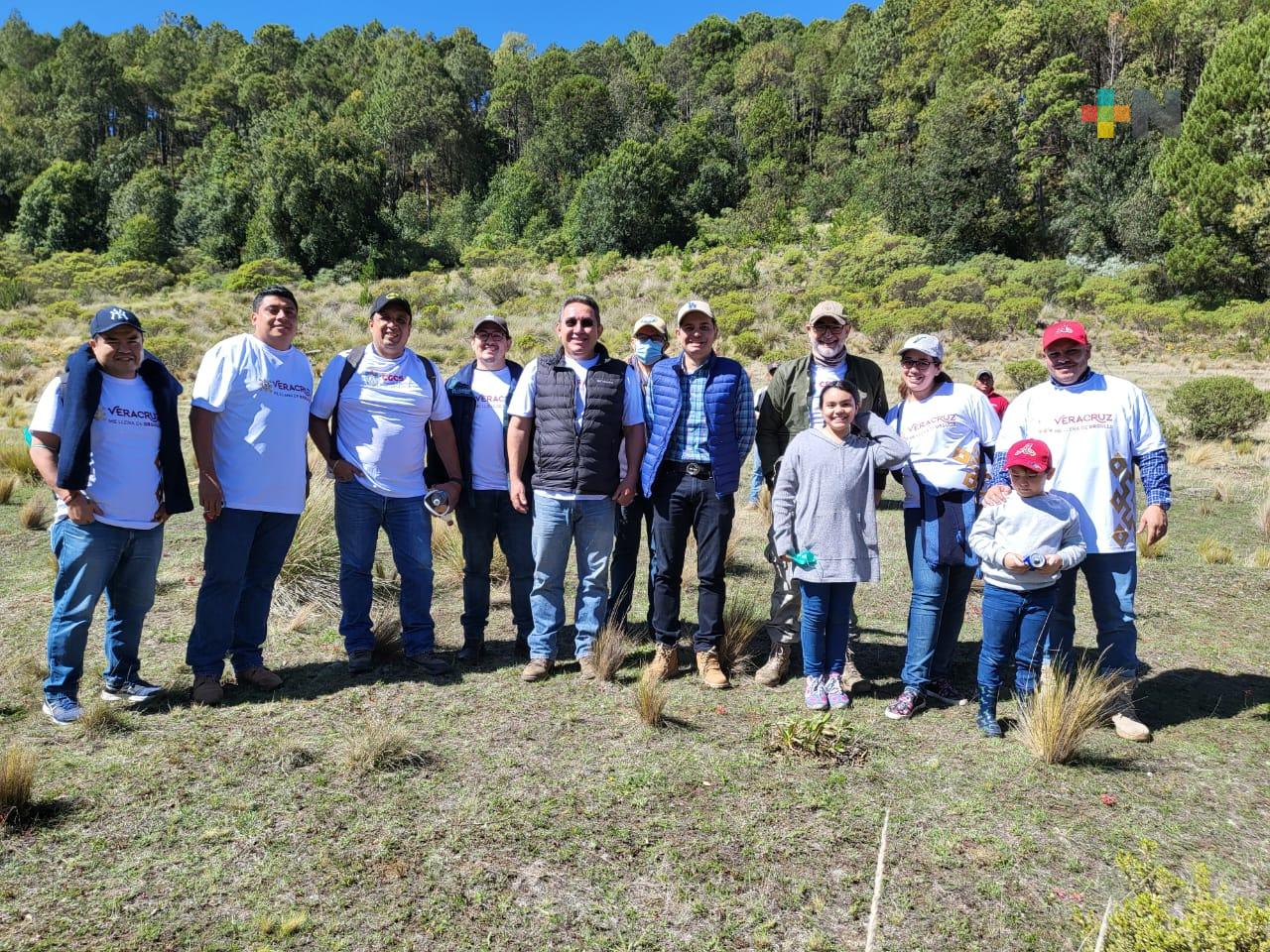 Súmate a la campaña estatal «Fabriquemos agua reforestando»
