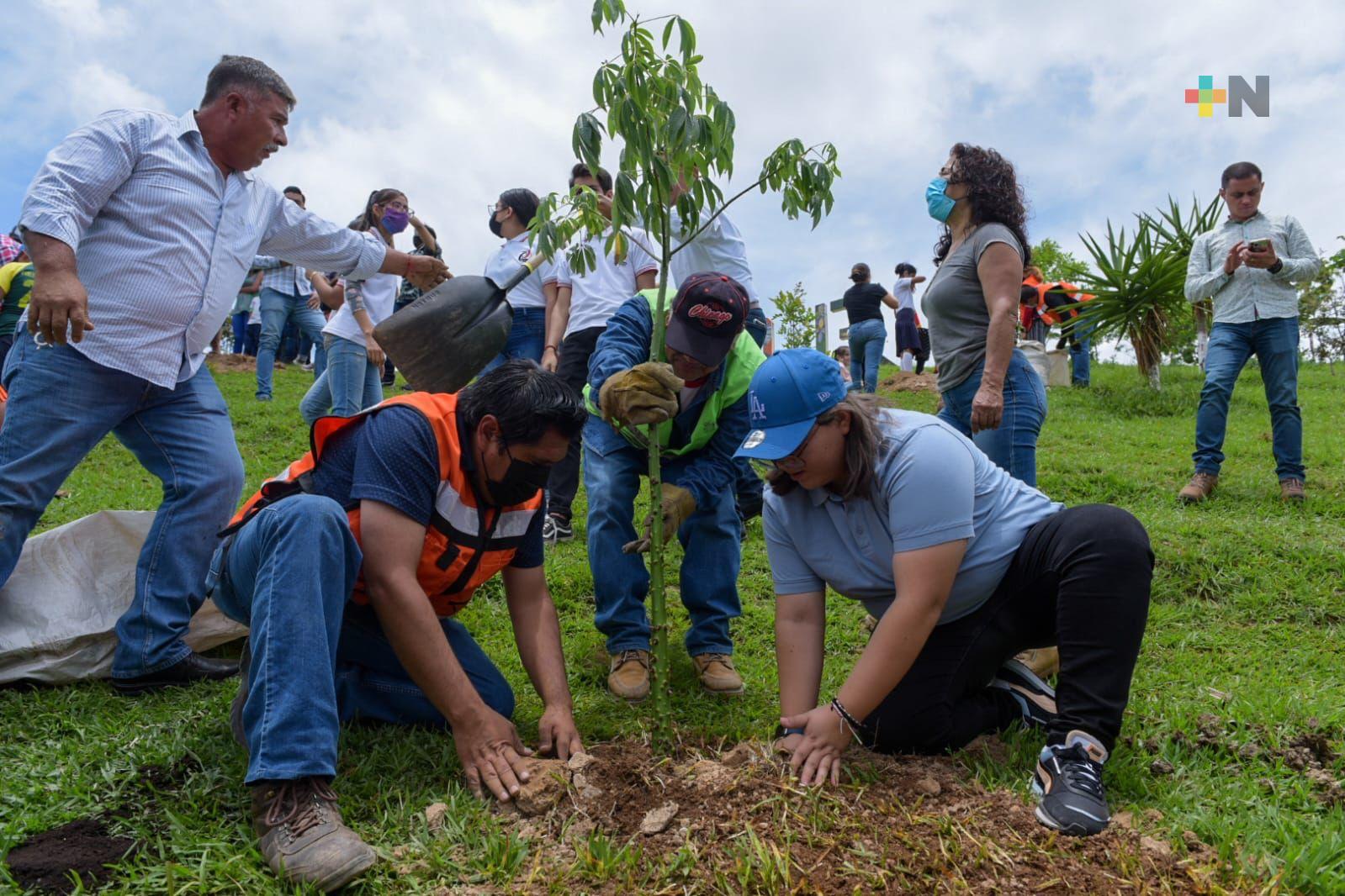 Realiza ayuntamiento jornada comunitaria de reforestación en El Castillo