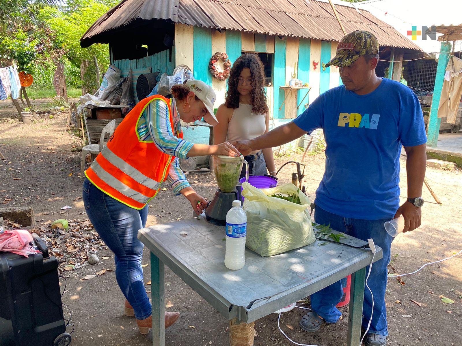 Promueven plaguicidas amigables con el medio ambiente en Ignacio de la Llave