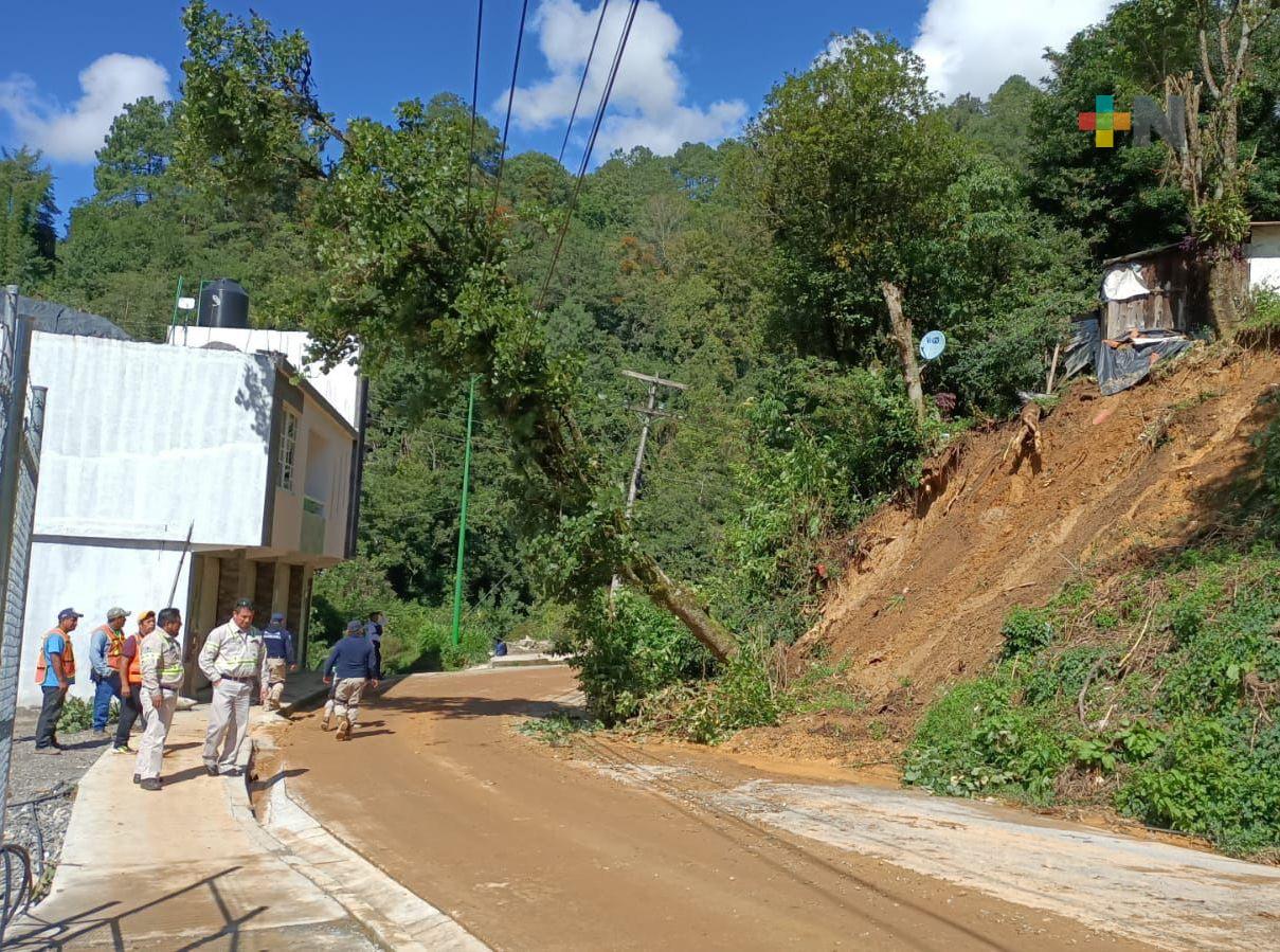 Protección Civil del Estado reporta afectaciones por lluvia fuerte, en Tequila