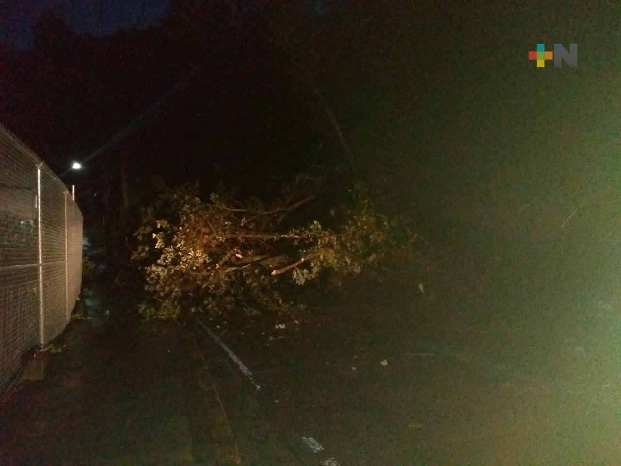 Fuertes lluvias ocasionan derrumbes y dejan una persona fallecida, en Tequila