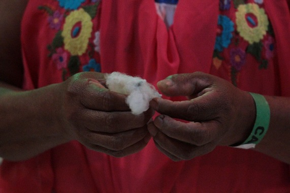 Presenta IVEC la exposición Xtsinat Latamat. El hilo de la vida, en el Centro Cultural Atarazanas