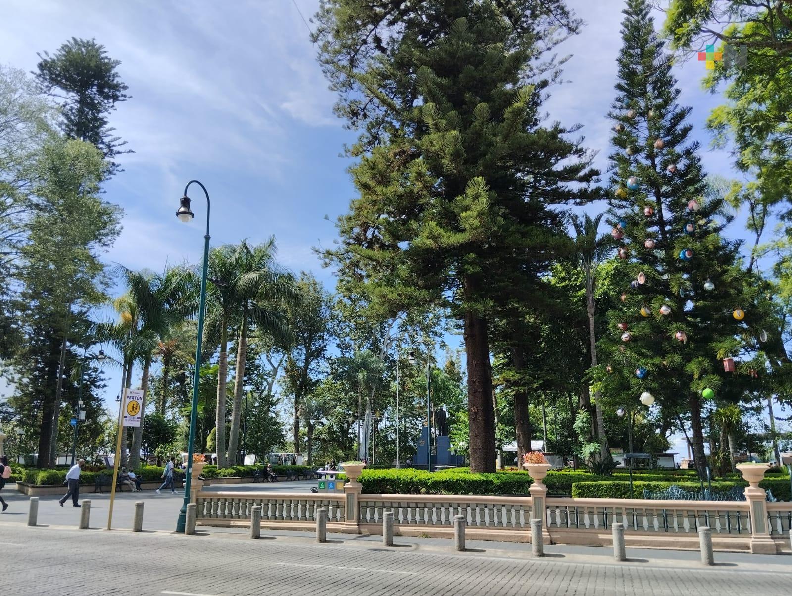 Continúan los domingos familiares en el centro de Xalapa