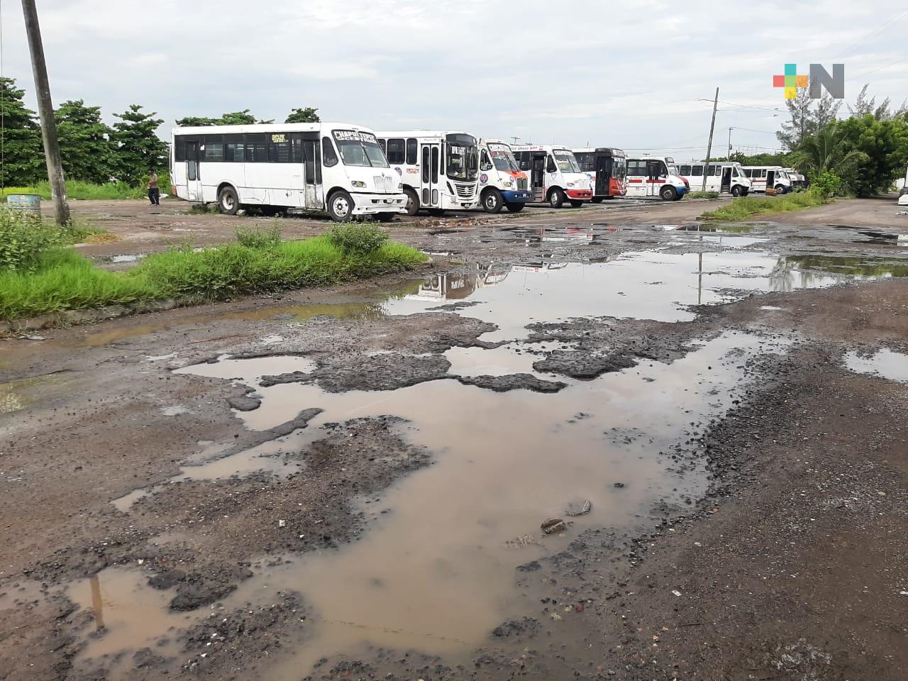 Línea de autobuses invade áreas verdes de fraccionamiento Geovillas