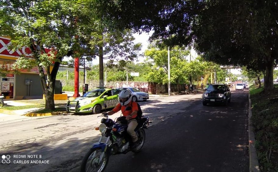 Para Xalapa, 200 obras este año