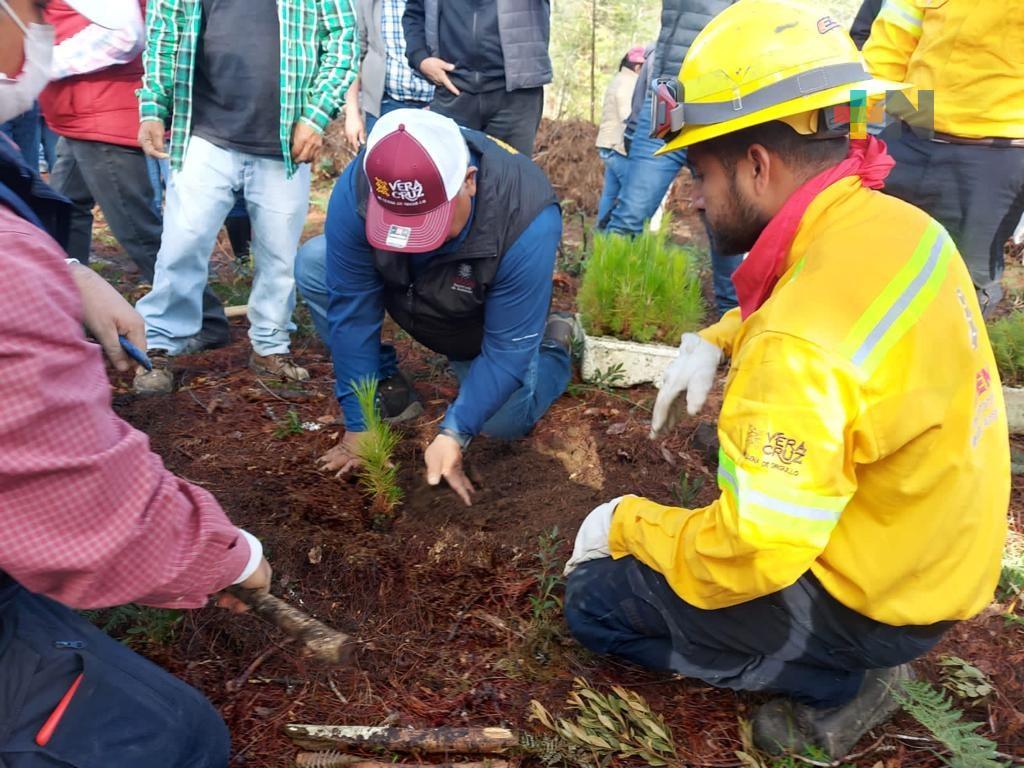 “Fabriquemos agua reforestando” llega a la sierra y la Huasteca baja