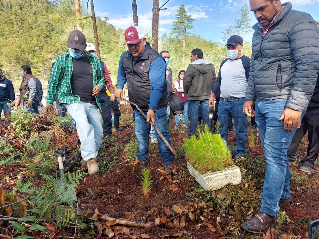 Eric Cisneros encabezó “Fabriquemos agua reforestando” en el municipio de Zacualpan