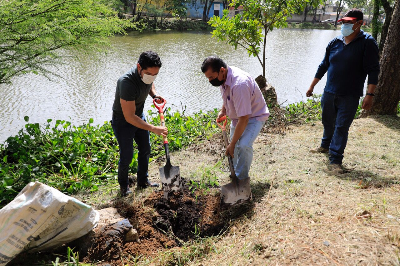Realiza ayuntamiento  de Xalapa jornada de limpieza en la Laguna de Casa Blanca