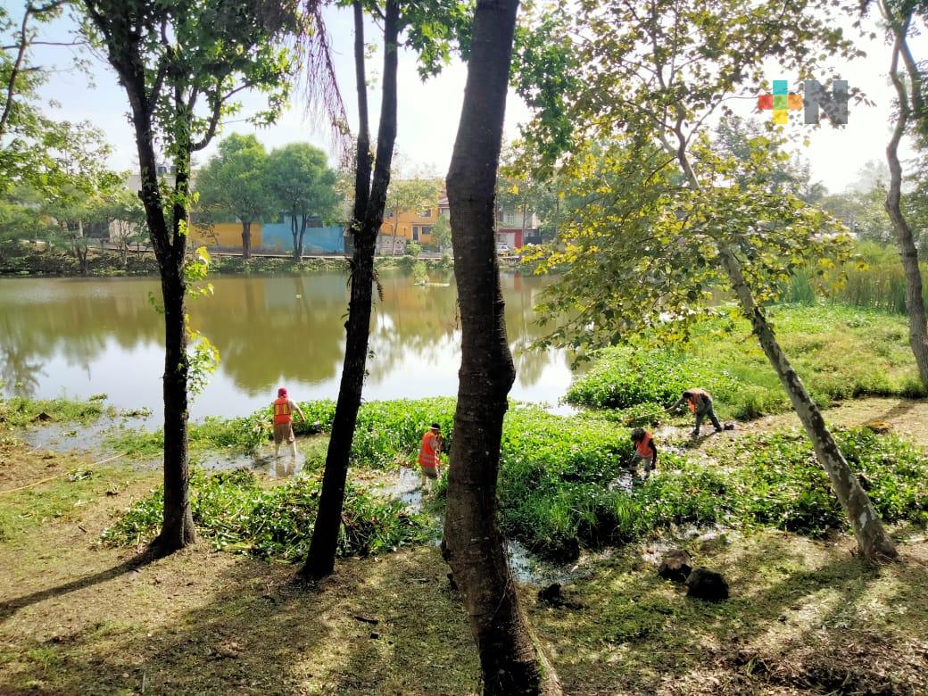 En Xalapa continúa el mantenimiento y rescate de áreas naturales