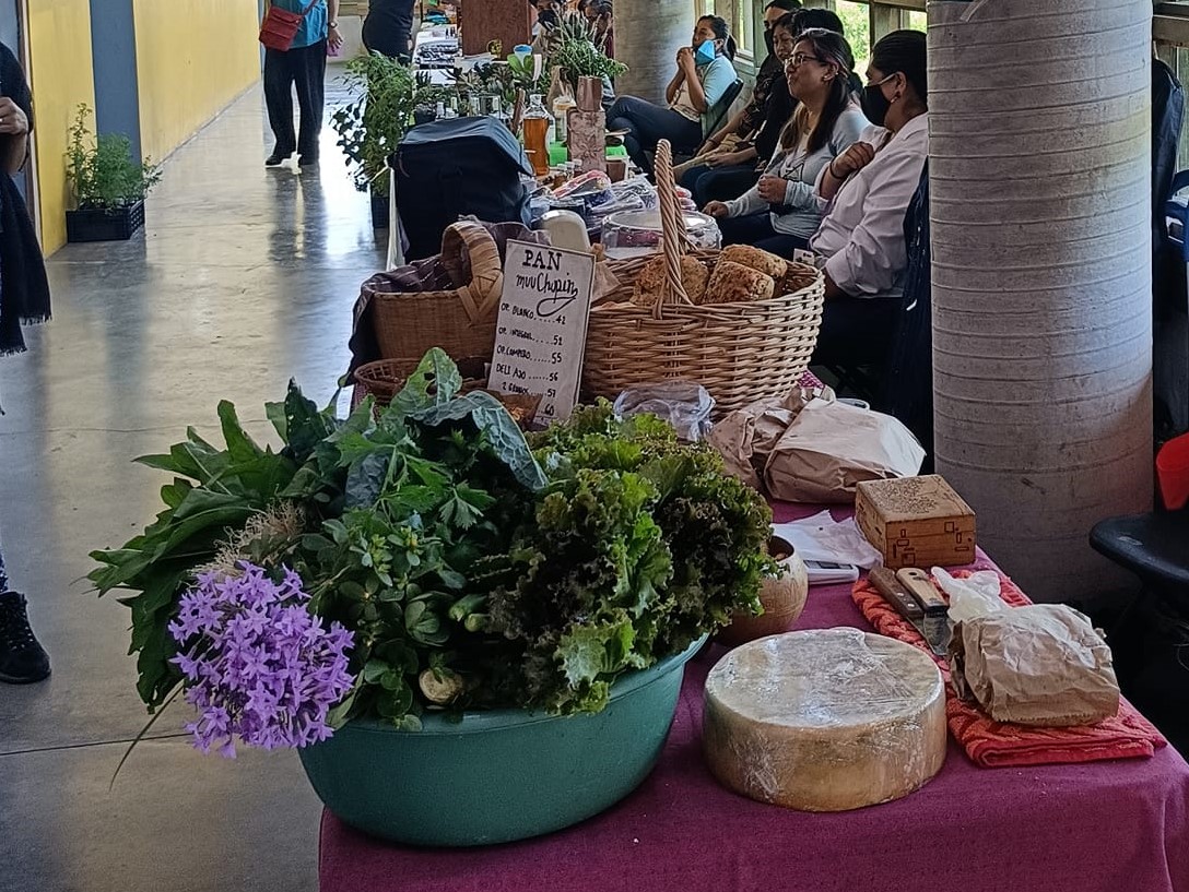 Instalaron mercado itinerante con productos orgánicos en Labix
