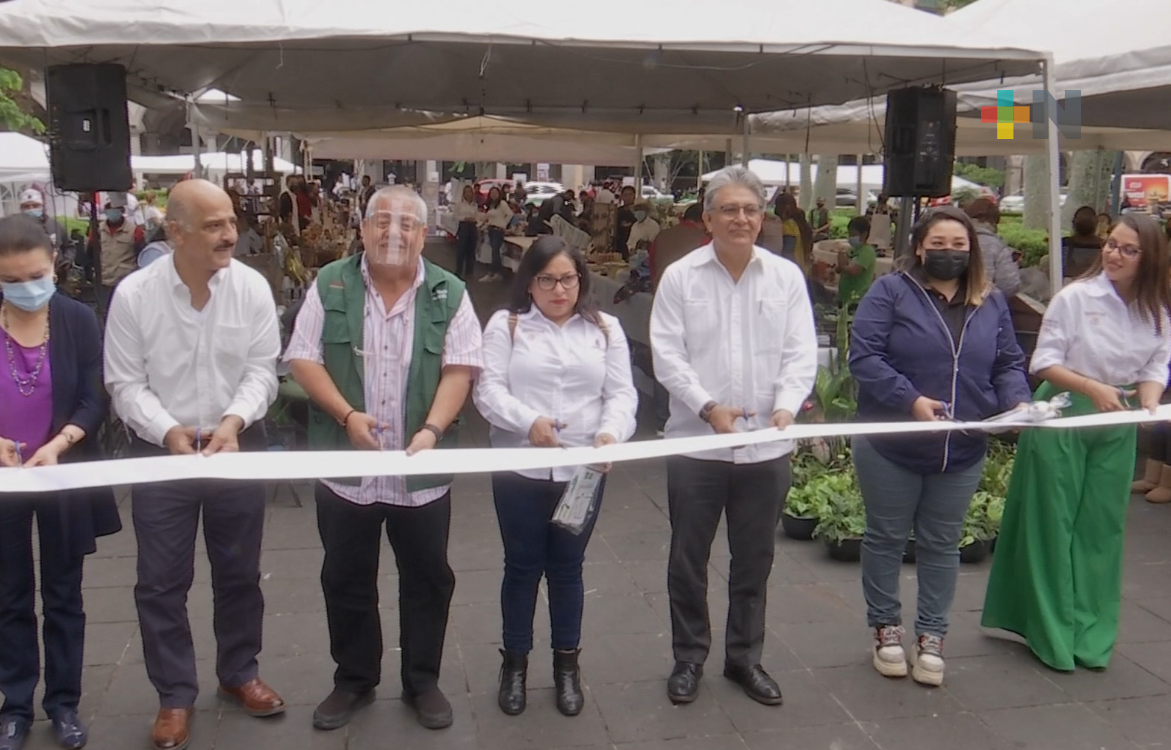 Inauguran la primera feria de Tandas para el Bienestar en Xalapa