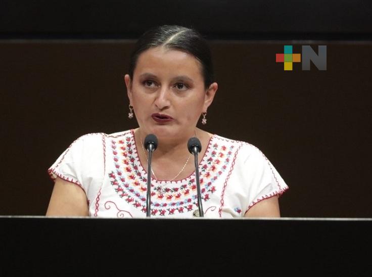 Necesario, crear marco jurídico para frenar injusta comercialización de bordados artesanales: Esther Martínez