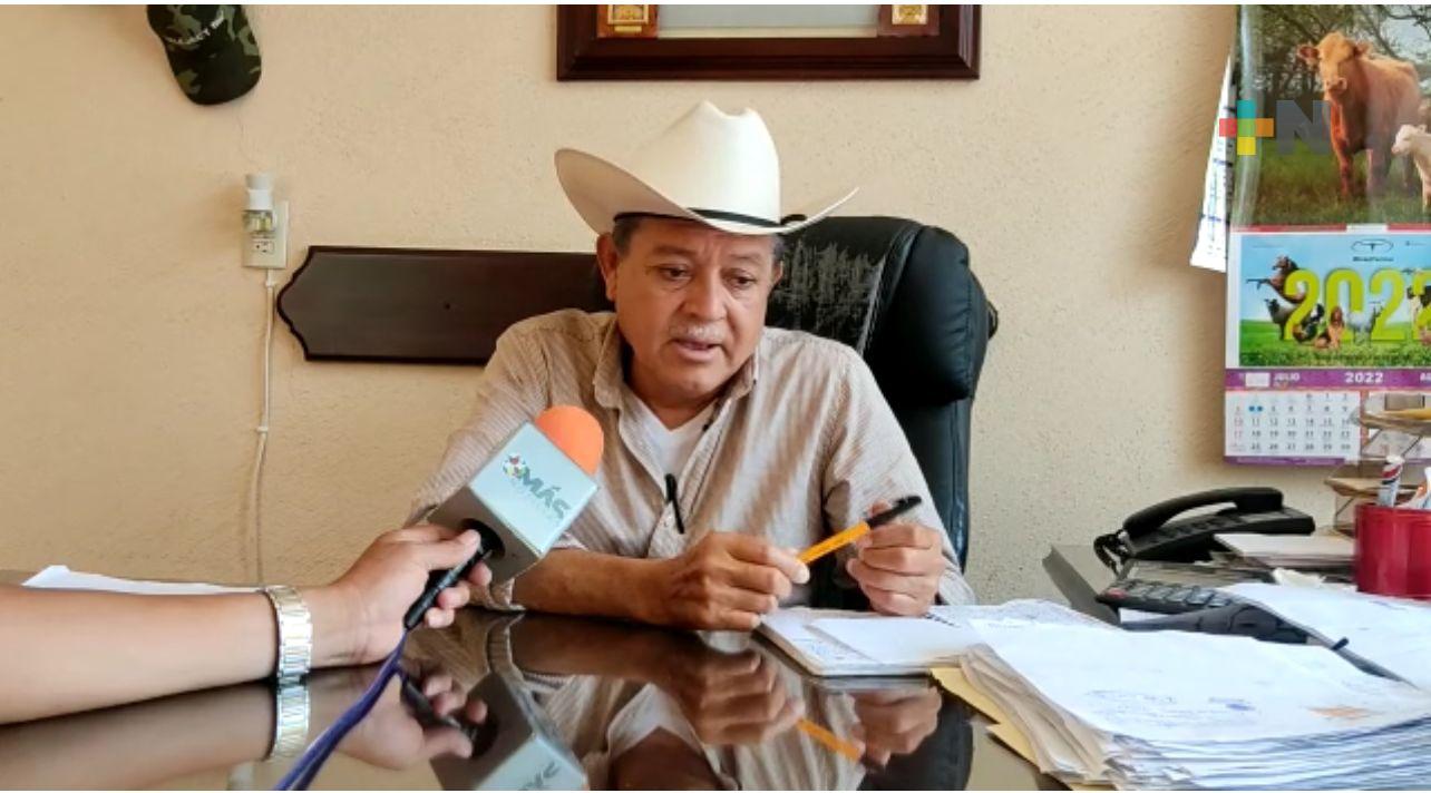 Ganaderos de Misantla tienen buen año en cuanto a precio y comercialización