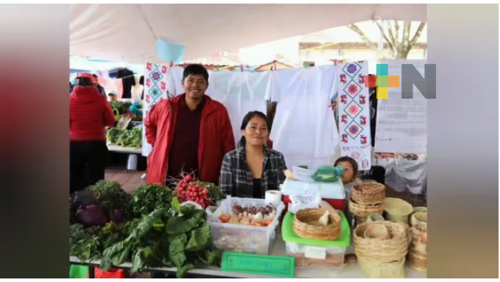 Promueven Tandas Bienestar en sierra norte y huasteca de Veracruz