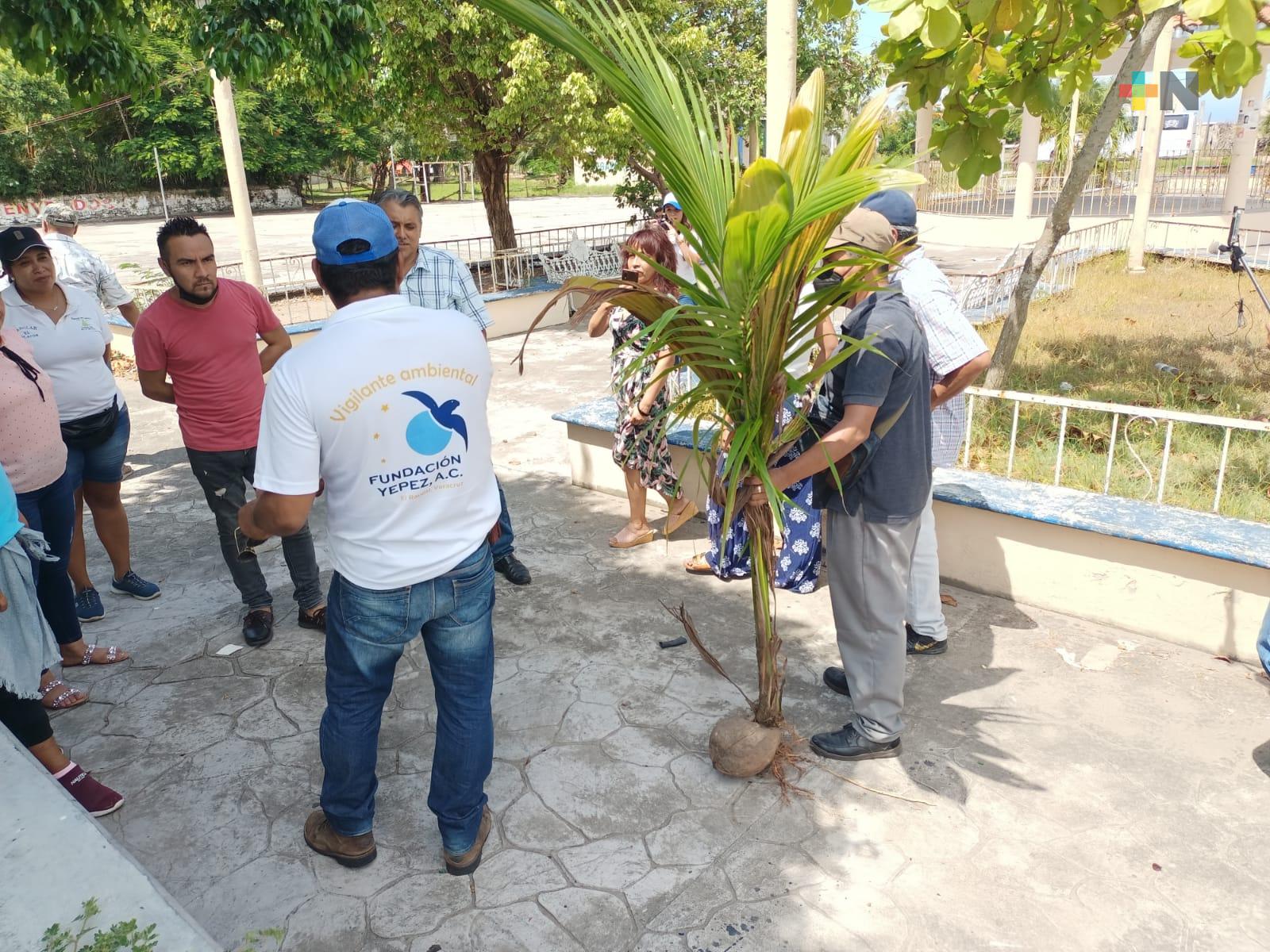 Con planta de palma de coco reforestarán franja turística de Costa Esmeralda