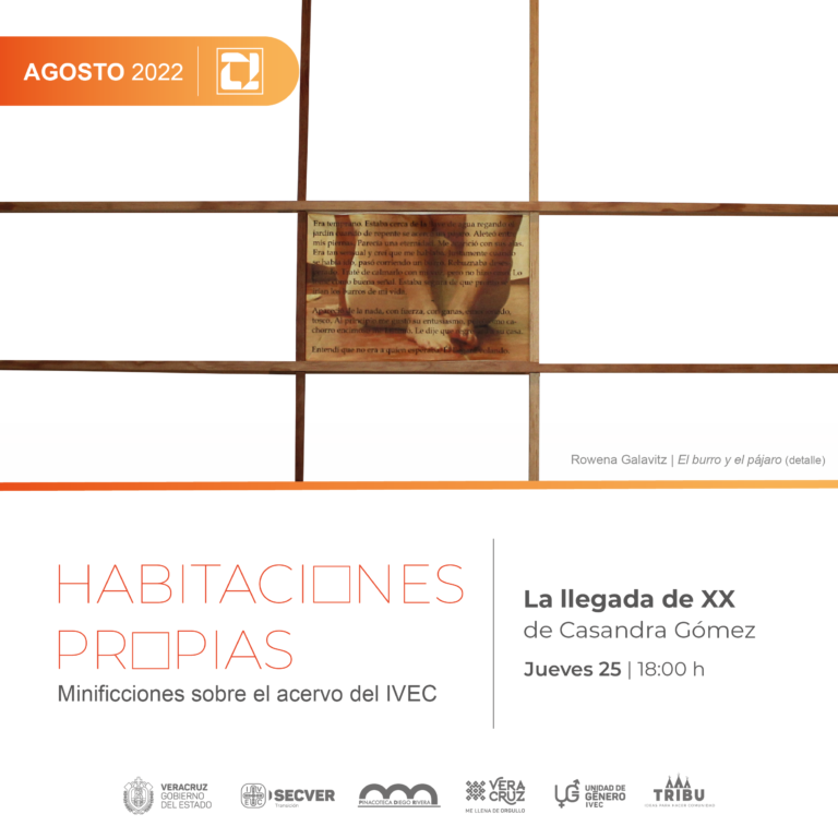 Conoce obra de Rowena Galavitz en emisión de “Habitaciones propias. Minificciones sobre el acervo del IVEC”