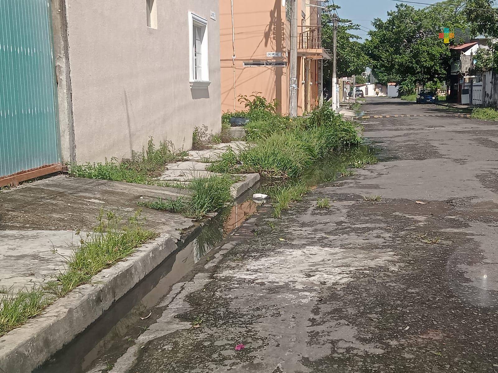 Reportan fuga de aguas negras en colonia de Boca del Río