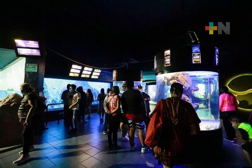 Incrementó en 50% afluencia de visitantes al Aquarium del Puerto de Veracruz durante periodo vacacional de verano