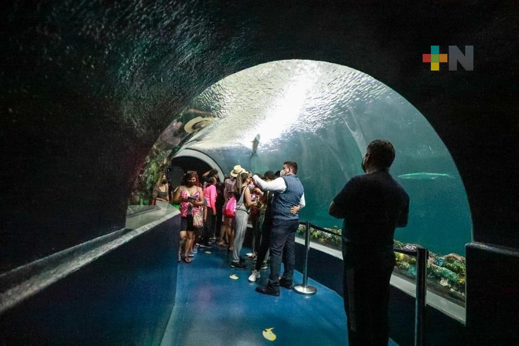 Más de 90 mil turistas han visitado el Aquarium del Puerto de Veracruz