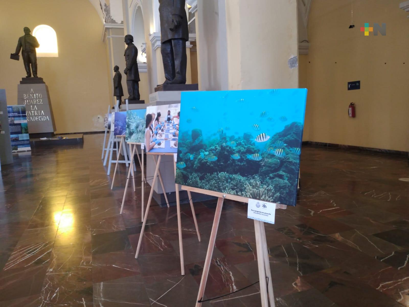 Continúa exposición fotográfica «30 años de proteger a los Arrecifes de Veracruz»
